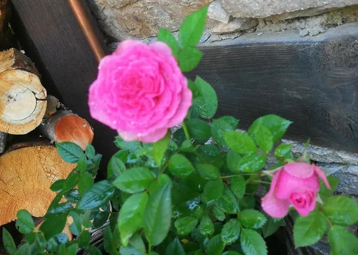 кондеви къщи * Ковачевица